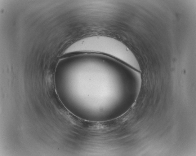X0000070830276200606161111