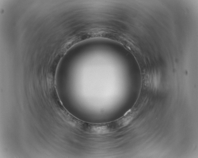 X0000070830283200606161111