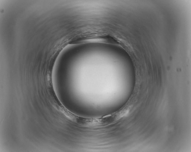 X0000070830288200606161111