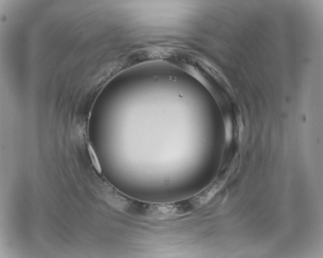 X0000070830329200606161110