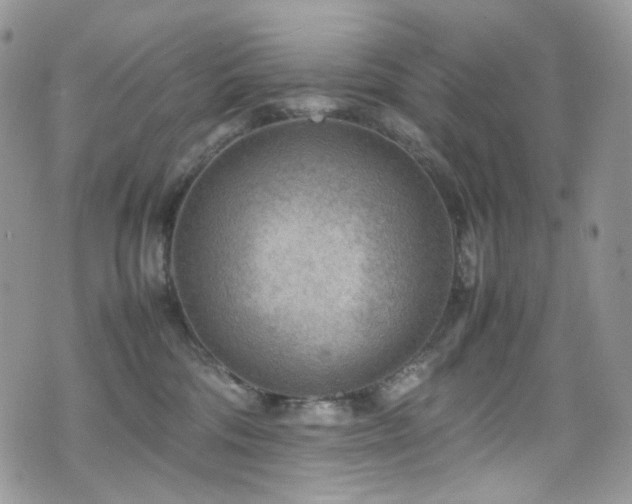 X0000070830330200606161110