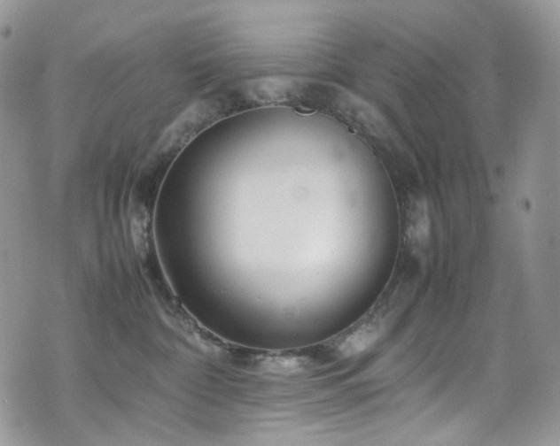 X0000070830332200606161109