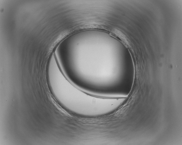 X0000070830389200606161109