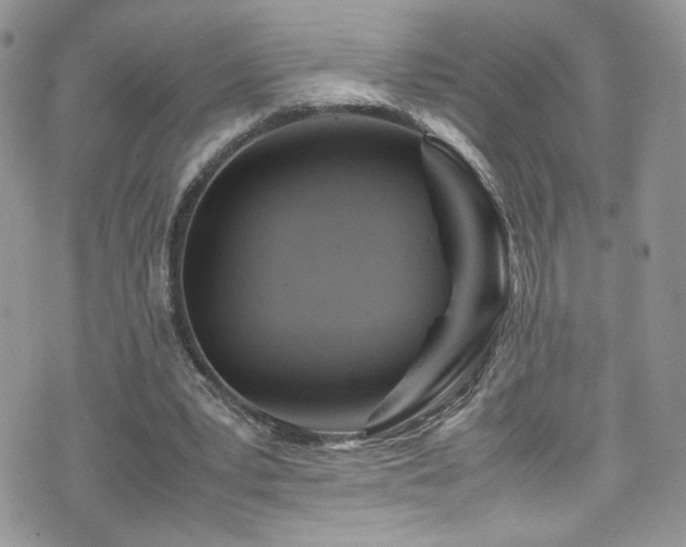 X0000070830391200606161108
