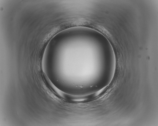 X0000070830393200606161108