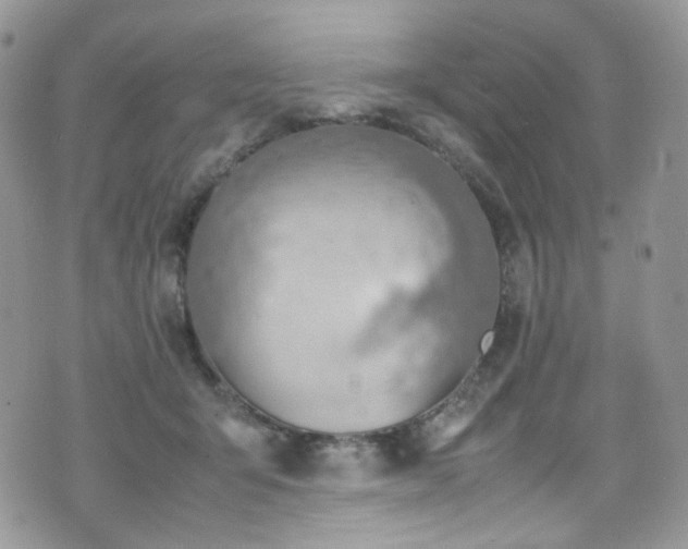 X0000070830415200606161108