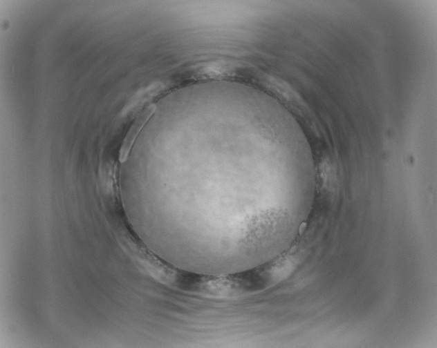 X0000070830423200606161108