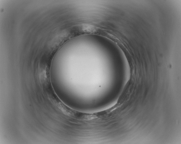 X0000070830424200606161108