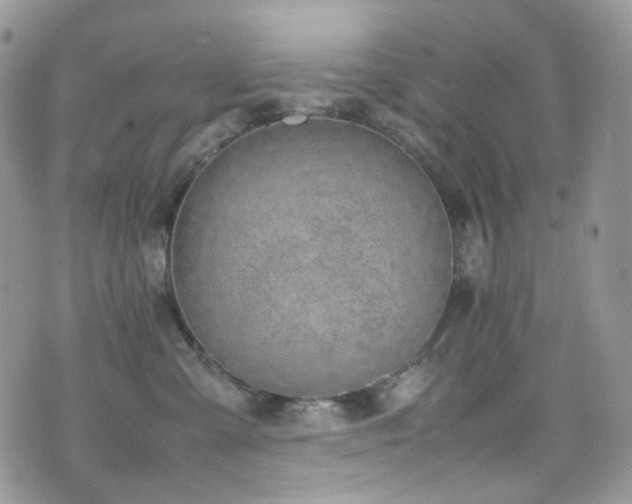 X0000070830427200606161108