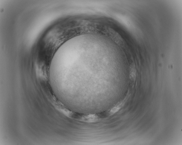 X0000070830431200606161108