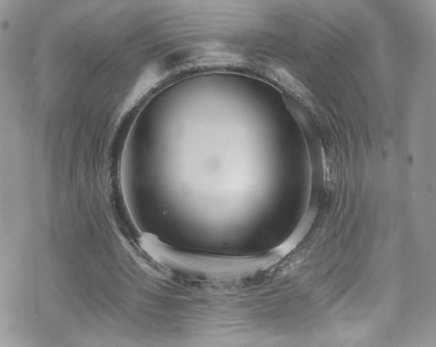 X0000070830436200606161107