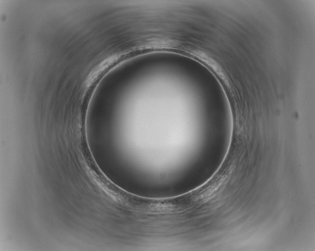 X0000070830437200606161107