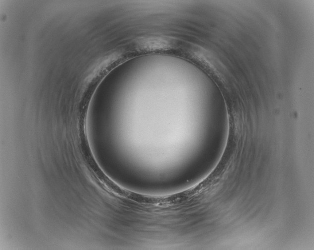 X0000070830447200606161107