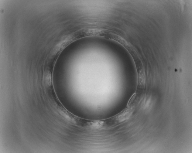X0000070830474200606161108