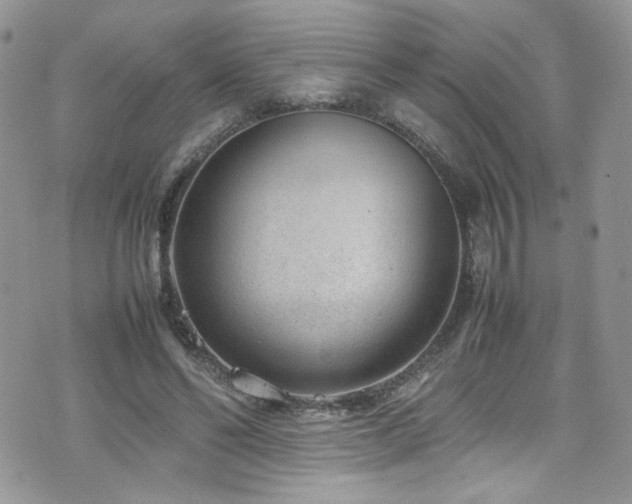 X0000070830494200606161107