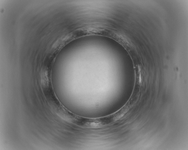 X0000070830506200606161107