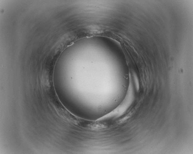 X0000070830512200606161107