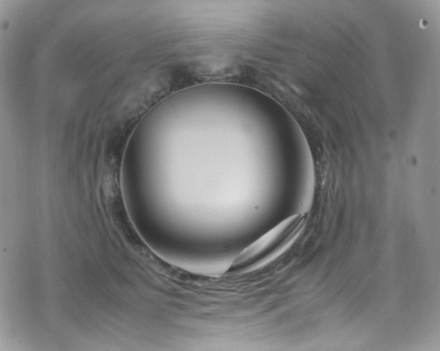 X0000070830515200606161106