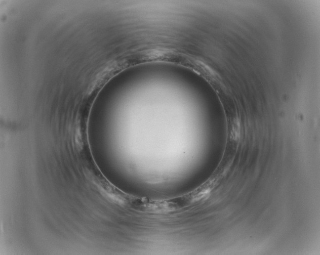 X0000070830524200606161106