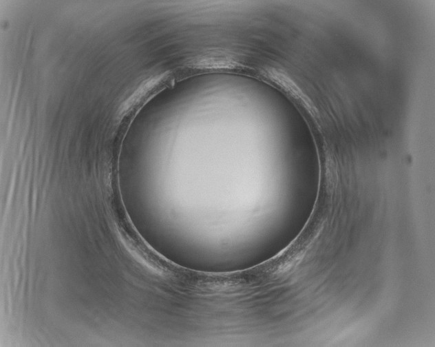 X0000070830533200606161106
