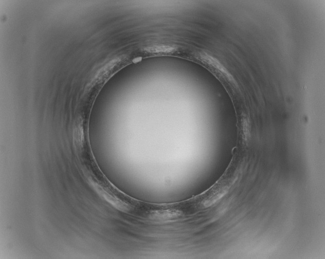 X0000070830541200606161106