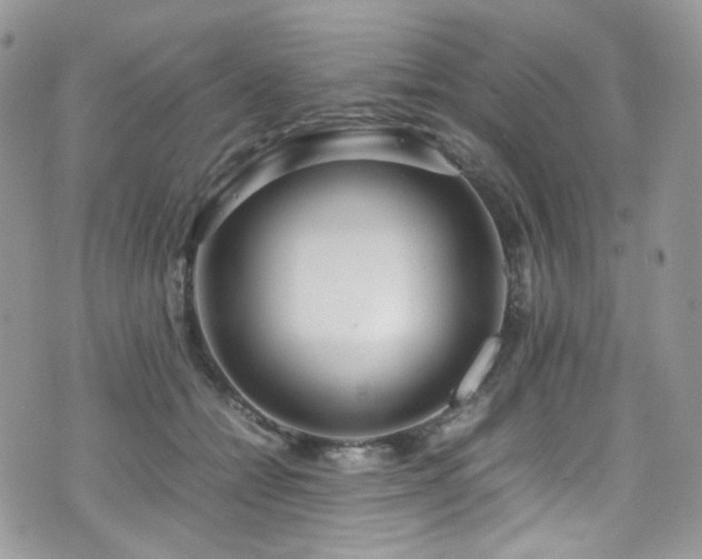 X0000070830558200606161106
