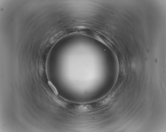X0000070830566200606161106