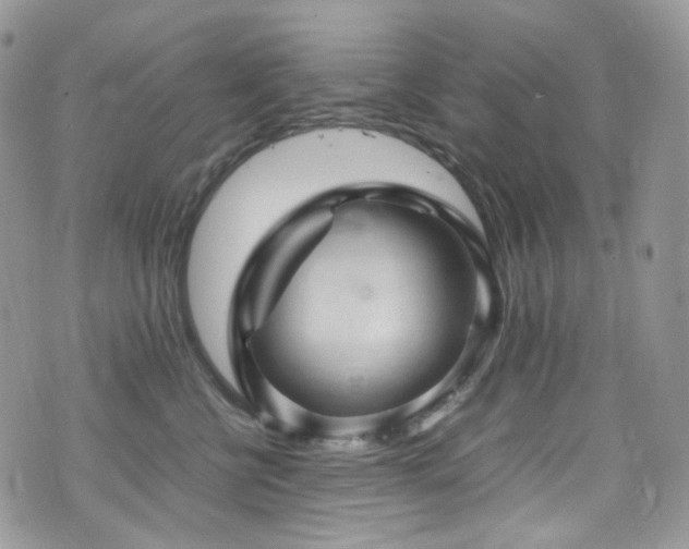 X0000070830570200606161106