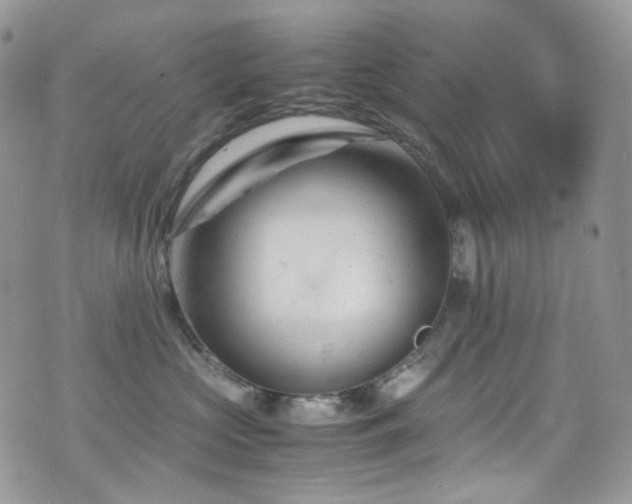 X0000070830573200606161106