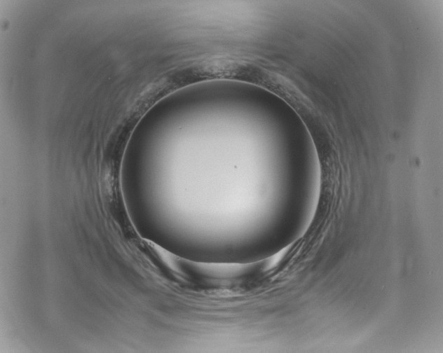 X0000070830597200606161105
