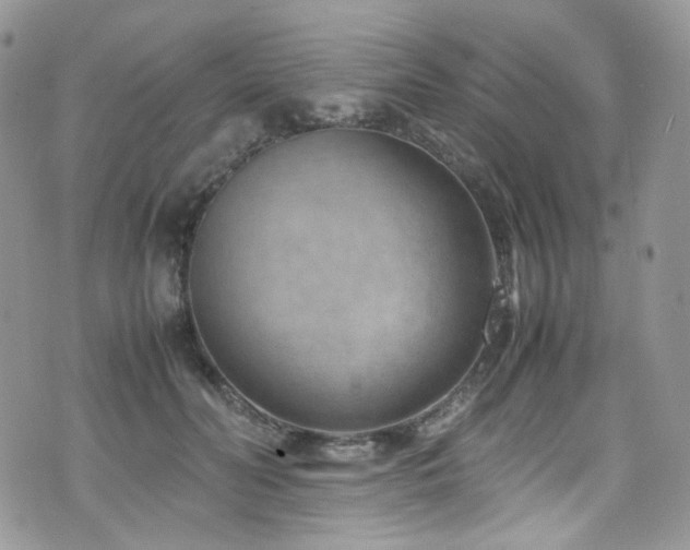 X0000070830606200606161105