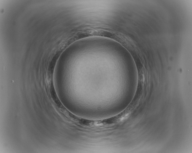 X0000070830607200606161105
