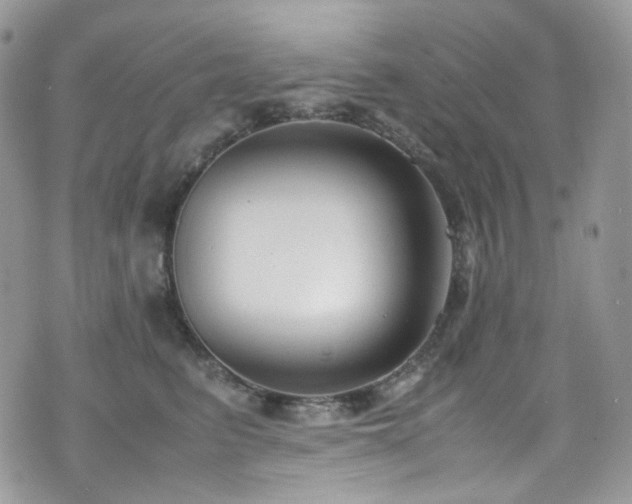 X0000070830615200606161105