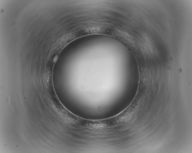 X0000070830645200606161104