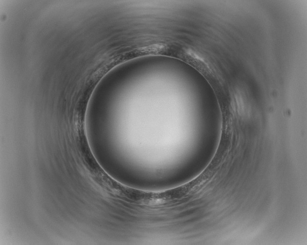 X0000070830647200606161104
