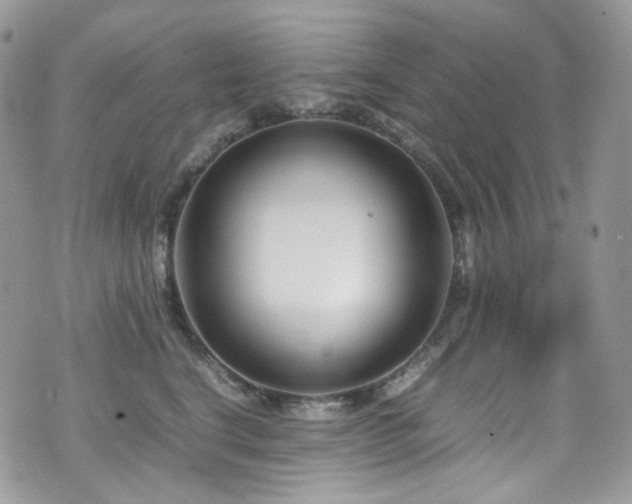 X0000070830664200606161105