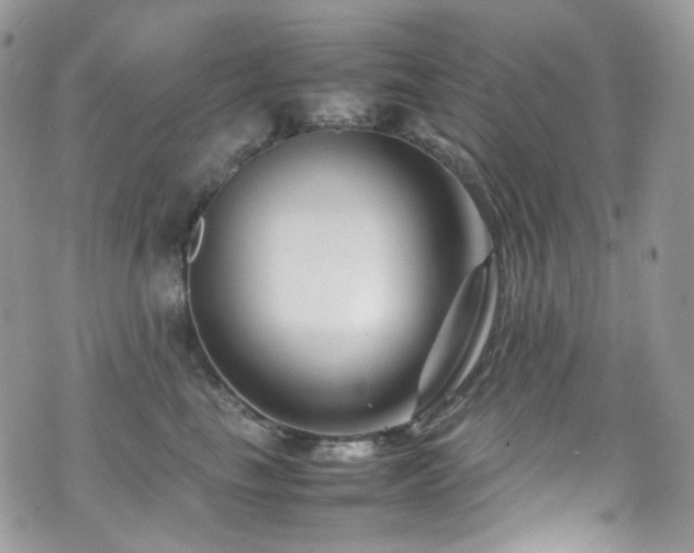 X0000070830665200606161105