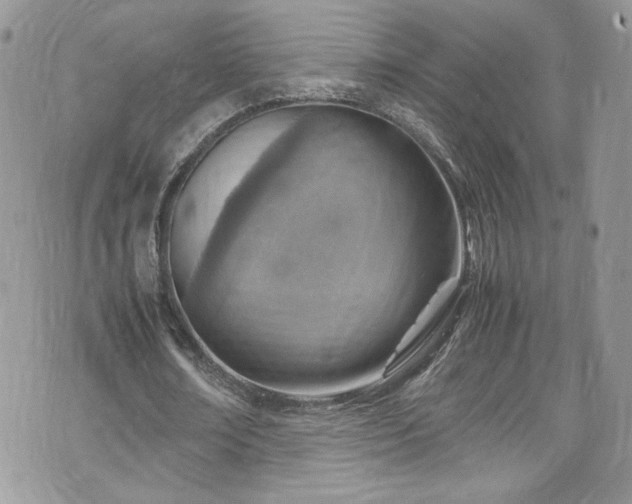 X0000070830674200606161104