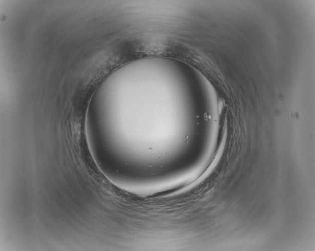 X0000070830697200606161103