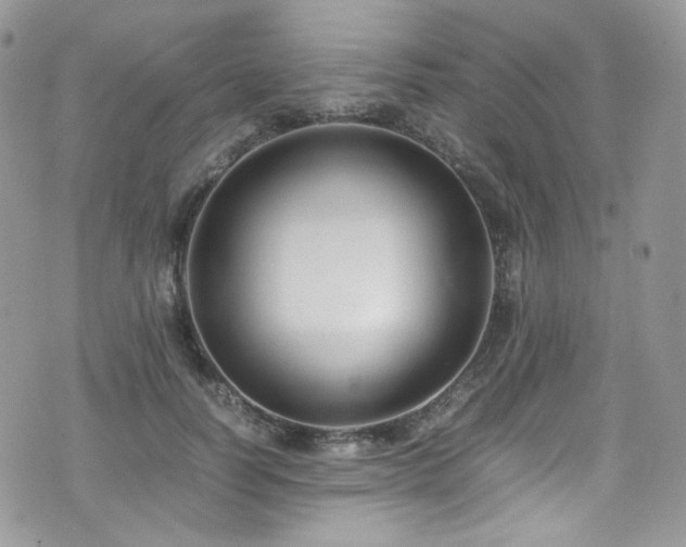 X0000070830746200606161103