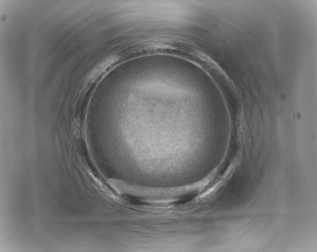 X0000070830785200606161102