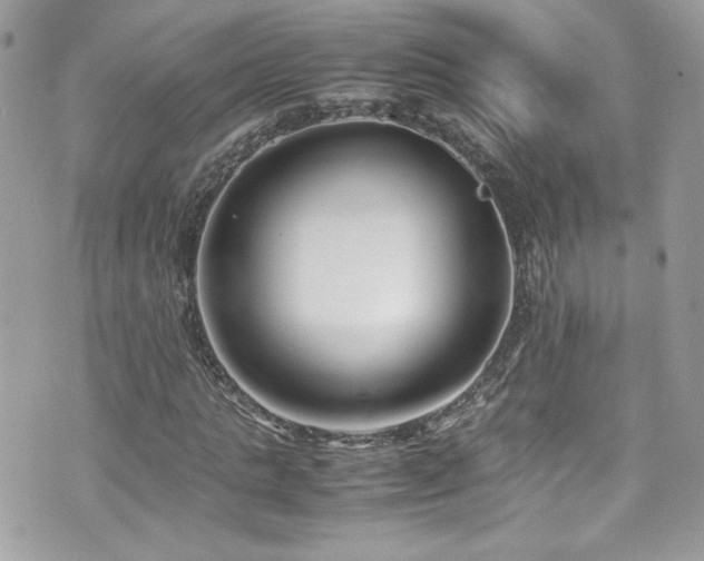 X0000070830821200606161101