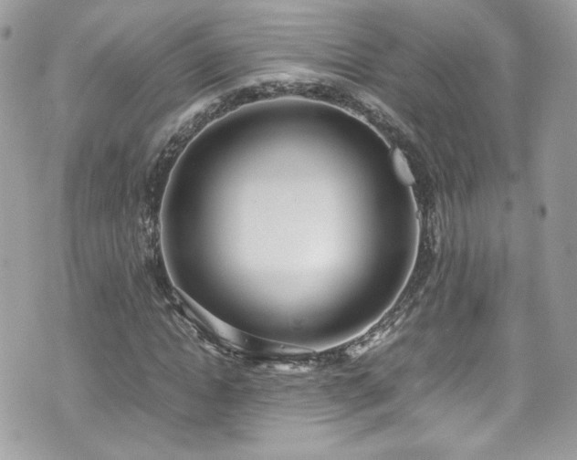 X0000070830822200606161101