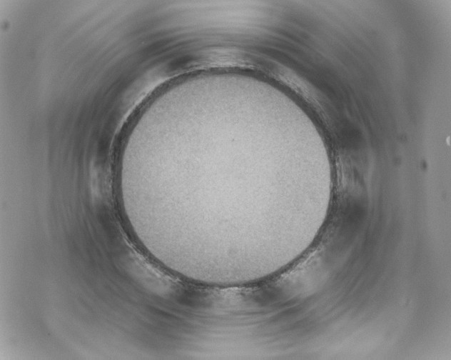 X0000070830828200606161101