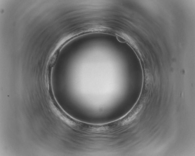 X0000070830843200606161101