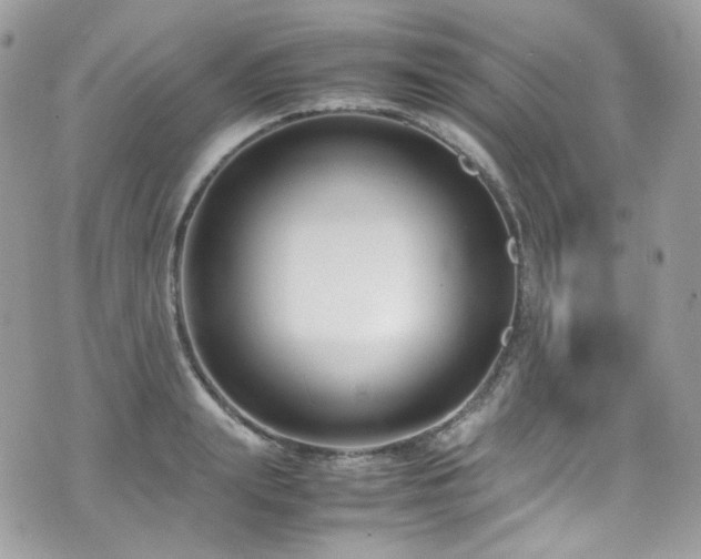 X0000070830847200606161101