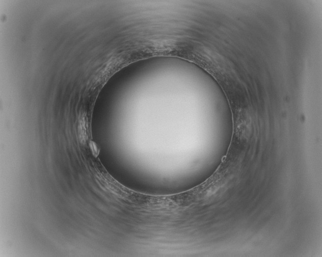 X0000070830866200606161101