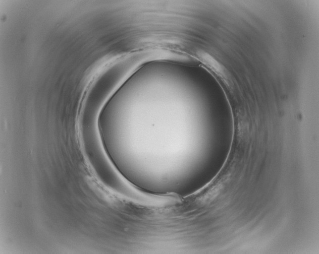X0000070830940200606161100