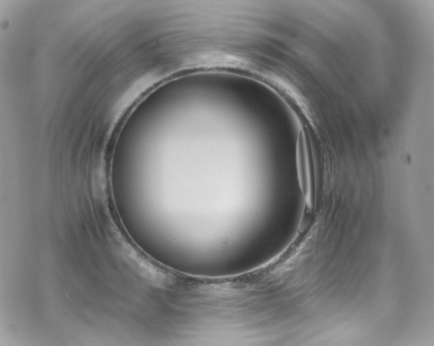 X0000070830990200606161059