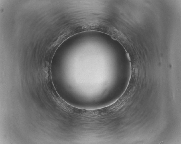 X0000070831012200606161058